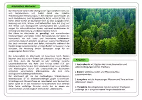 Vorschau - Stationenlernen - Gruppenpuzzle Waldtypen (Ökologie) - Seite 3
