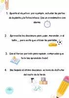 Vista previa - Refuerzo / NEE / Materiales de apoyo - Técnica pomodoro primaria - página 1
