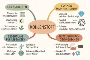 Vorschau - Arbeitsblätter - AB mit Fragen zum Thema "Kohlenstoff" + Lösungsblatt + Mindmap + Infografik - Seite 2