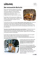 Vorschau - Arbeitsblätter - Lesesprint Heimische Tiere Rotfuchs - Seite 3