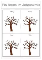 Vorschau - Arbeitsblätter - Baum im Jahreskreis - Sachunterricht GS 1 - Seite 2