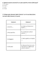 anteprima - Compiti in classe/Test - Raccolta di materiali: "Densità e peso specifico” (esami) - Pagina 2
