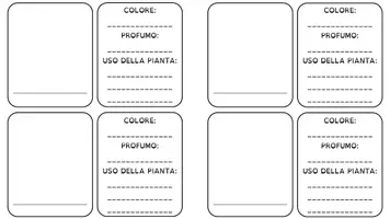 anteprima - Altro tipo di materiale - IL MIO ERBARIO - Pagina 3