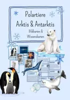 Vorschau - Stationenlernen - Materialpaket Arktis & Antarktis - Tierwelten - Seite 1