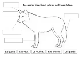 Aperçu - Feuilles d'exercices - Les parties du corps du loup (maternelle, CP) - Page 3