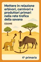 anteprima - Compiti in classe/Test - E relazione erbivori, carnivori e produttori primari savana - Pagina di copertina