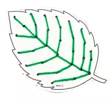 Vorschau - Mal- und Bastelvorlagen - Kunst im Herbst: Farbenfrohe Herbstblätter sticken (Werken) - Seite 1