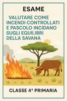 anteprima - Compiti in classe/Test - Esame:valutare come incendi e pascolo incidano sulla savana - Pagina di copertina