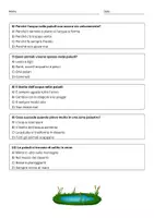 anteprima - Quiz - Quiz caratteristiche idrologiche che definiscono una palude - Pagina 2