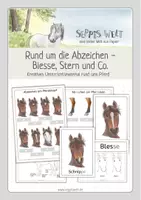 Vorschau - Arbeitsblätter - Rund um die Abzeichen des Pferdes - Blesse, Stern und Co. - Deckblatt
