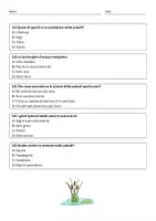 anteprima - Quiz - Quiz Rappresentare la catena alimentare tipica delle paludi - Pagina 3
