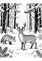 Vorschau - Arbeitsblätter - Ausmalbilder Winter: Tiere im Winter - Seite 2
