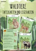Vorschau - Unterrichtsreihen - Materialpaket Waldtiere: Unterrichtsreihe und diverse Tafelkarten - Seite 1