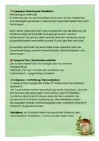 Vorschau - Unterrichtsreihen - Waldtiere - Unterrichtsreihe (inkl. Tafelkarten) - Seite 3