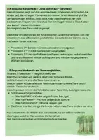 Vorschau - Unterrichtsreihen - Waldtiere Steckbriefe - Unterrichtsreihe mit Arbeitsblätter (ohne Tafelkarten) - Seite 2