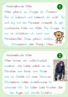 Vorschau - Arbeitsblätter - Affe | Abschreibkarten | Leseheft | Infokarten | Affenklasse - Seite 3