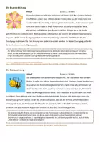 Vorschau - Spiele - Brain Breaks - Kurze Pausen für zwischendurch - Seite 2