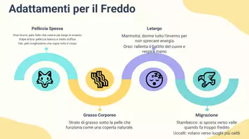anteprima - Presentazioni / Lavagne - Pres. Adattamenti degli animali della montagna - Pagina 3
