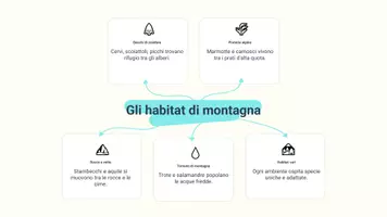anteprima - Presentazioni / Lavagne - Raccolta di materiali: Presentazioni sugli animali della montagna - Pagina 3