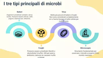 anteprima - Presentazioni / Lavagne - Pres: descrivere e distinguere tra batteri, funghi e virus - Pagina 3