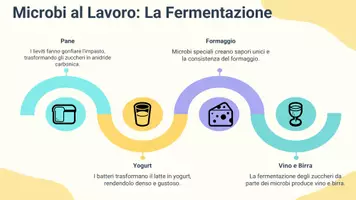 anteprima - Presentazioni / Lavagne - Pres: osservare esempi quotidiani dell’azione dei microbi - Pagina 3