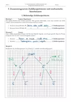Vorschau - Stundenentwürfe - Mathe 10. Klasse Zusammengesetzte Zufallsexperimente und stochastische Simulationen - Seite 2