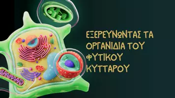 Προεπισκόπηση - Παρουσιάσεις - Εξερευνώντας τα Οργανίδια του Φυτικού Κυττάρου - Εξώφυλλο