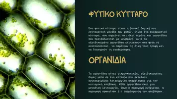Προεπισκόπηση - Παρουσιάσεις - Εξερευνώντας τα Οργανίδια του Φυτικού Κυττάρου - Σελίδα 2