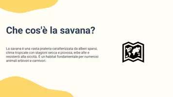 anteprima - Presentazioni / Lavagne - Pres. confrontare savana africana e quella sudamericana - Pagina 2