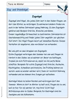 Vorschau - Unterrichtsreihen - Zugvögel Standvögel Tiere im Winter Sachunterricht Klasse 2 3 4 - Seite 3