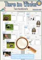 Vorschau - Arbeitsblätter - Tiersteckbriefe Tiere im Winter Sachunterricht Klasse 2 3 4 - Deckblatt