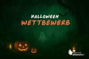 Vorschau - Anderer Materialtyp - Halloween-Wettbewerb: dein gruseligstes Regenwaldwesen - Deckblatt