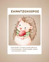 Προεπισκόπηση - Υποστηρικτικό υλικό / Ειδική αγωγή - 🦔 Ζώα του Φθινοπώρου | Εκπαιδευτικές Κάρτες & Ζωγραφική 🍂 - Σελίδα 3