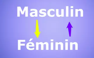 Aperçu - Préparation de séquence / Séquence complète - Le genre des noms et des adjectifs - Page de couverture