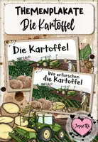 Vorschau - Arbeitsblätter - Kartoffel | Materialpaket | Sachunterricht Klasse 2,3,4 - Seite 1