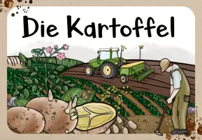 Vorschau - Arbeitsblätter - Kartoffel | Materialpaket | Sachunterricht Klasse 2,3,4 - Seite 2
