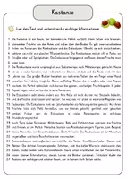 Vorschau - Arbeitsblätter - Kastanie Arbeitsblätter mit Fragen + Lösungen Lesetext Wortspeicher didaktische Reserve - Seite 3