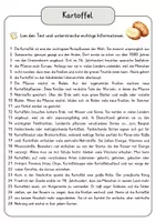 Vorschau - Arbeitsblätter - Kartoffel Arbeitsblätter mit Fragen + Lösungen Lesetext Wortspeicher didaktische Reserve - Seite 3