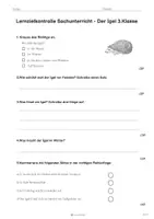 Vorschau - Arbeitsblätter - Lernzielkontrolle „Der Igel“ – Sachunterricht 3. Klasse | Arbeitsblatt + Lösung 🦔 🍂 - Seite 1