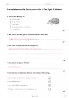 Vorschau - Arbeitsblätter - Lernzielkontrolle „Der Igel“ – Sachunterricht 3. Klasse | Arbeitsblatt + Lösung 🦔 🍂 - Seite 3