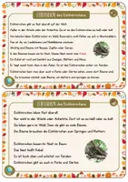 Vorschau - Stationenlernen - Eichhörnchen Wissenskartei für Stationenarbeit Infotexte Tafelbild mit Beschriftung - Seite 2