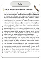 Vorschau - Arbeitsblätter - Adler Arbeitsblätter mit Fragen + Lösungen Lesetext Wortspeicher didaktische Reserve - Seite 3