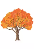 Vorschau - Präsentationen/Tafelbilder - Tafelbilder zum Herbst - Seite 1