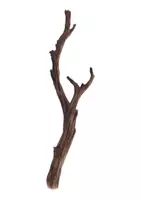 Vorschau - Präsentationen/Tafelbilder - Tafelbilder zum Herbst - Seite 3