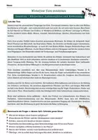 Vorschau - Arbeitsblätter - BNT Klasse 5 - Wirbellose Tiere entdecken - Seite 1