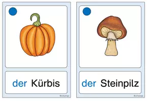 Vorschau - Fördermaterial/Inklusion - HERBST / Bildkarten - Seite 2