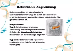 Vorschau - Arbeitsblätter - Ernährungsbedingte und -mitbedingte Erkrankungen Diabetes mellitus Typ 2 - Seite 2