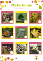Vorschau - Spiele - Spielidee Waldspaziergang ,Naturbingo' - Seite 1