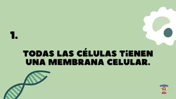 Vista previa - Refuerzo / NEE / Materiales de apoyo - trivias de la célula - v o f y ¿quién soy? - página 2