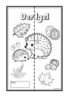Vorschau - Mal- und Bastelvorlagen - Der Igel - Lapbook Bastelvorlage - Seite 1